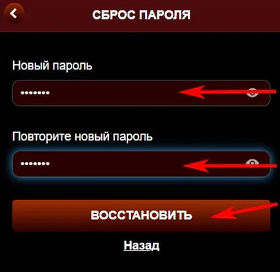 Форма нового пароля с полем повтора для проверки опечатки